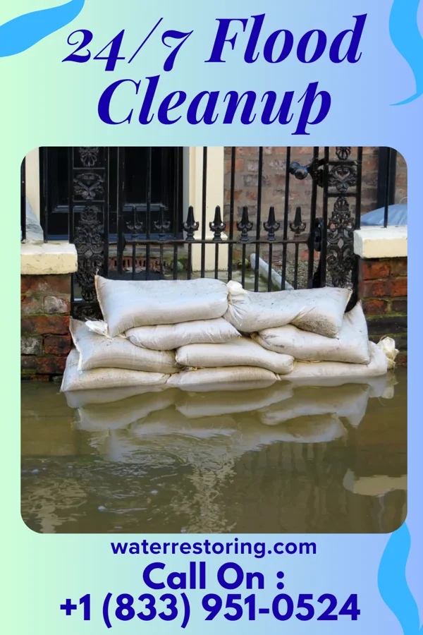 24/7 Flood Cleanup in Quesada, TX