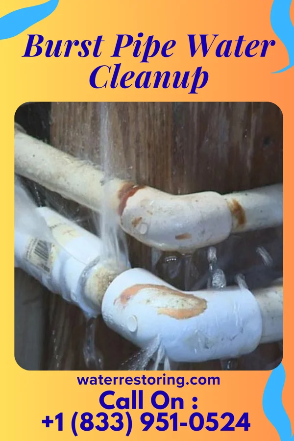 Burst Pipe Water Cleanup in Quesada, TX