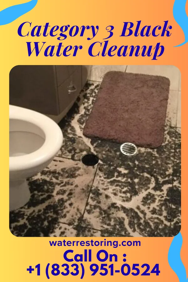 Category 3 Black Water Cleanup in Quesada, TX
