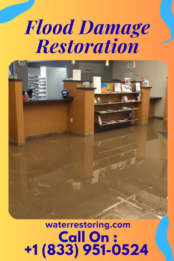 Flood Damage Restoration in Quesada, TX
