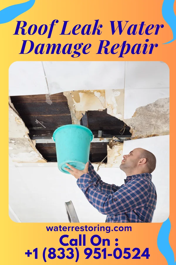 Roof Leak Water Damage Repair in Quesada, TX