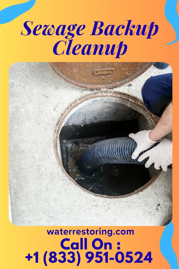 Sewage Backup Cleanup in Quesada, TX