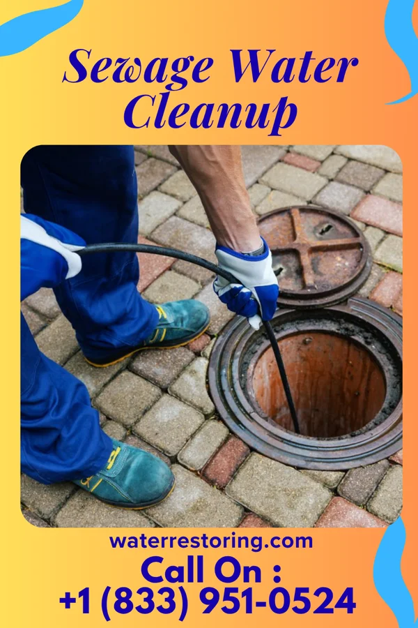 Sewage Water Cleanup in Quesada, TX